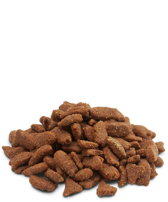 Crispy Pellets - Ferrets 3 Kg