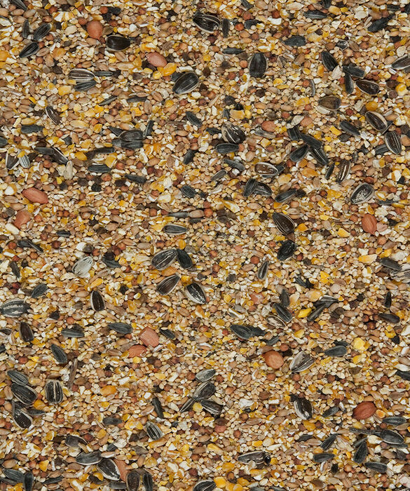 4 Seasons Blend 1 kg