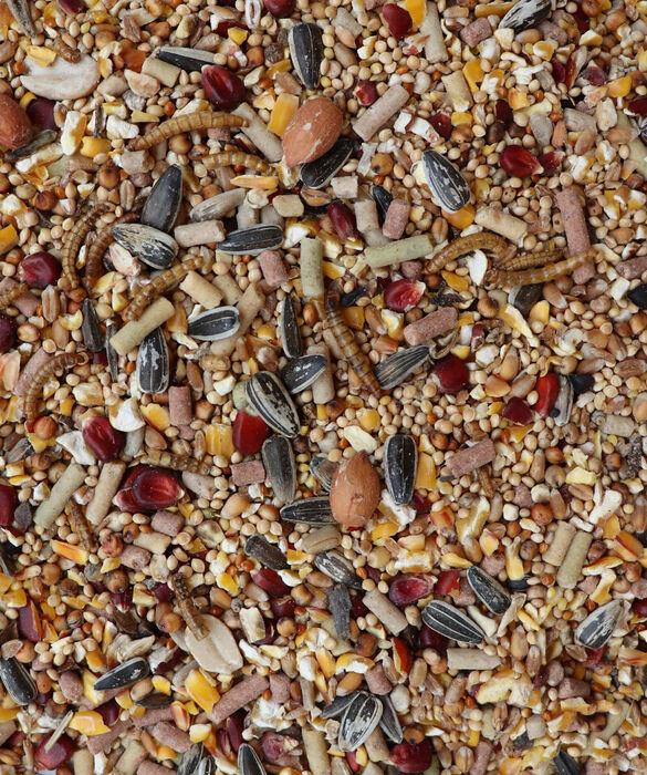 Gourmet Blend 3 kg
