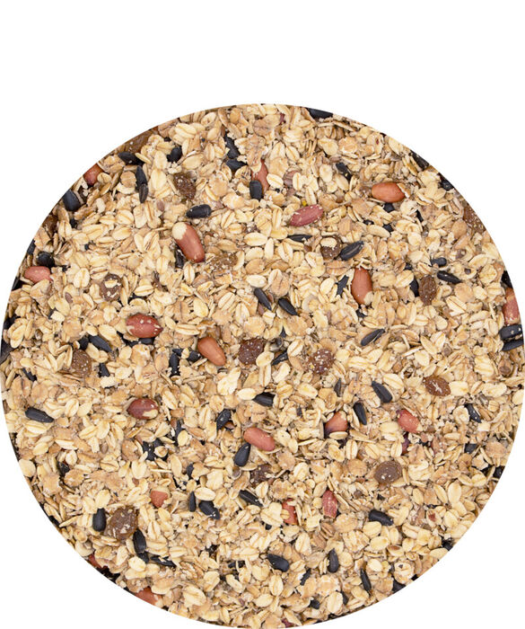 Frost Nights Blend 2.5 kg