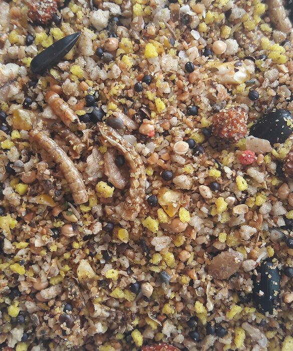 Nesting Blend 2.5 kg