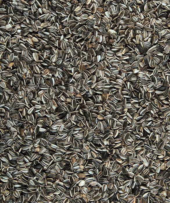 Sunflower seeds 7.5 kg