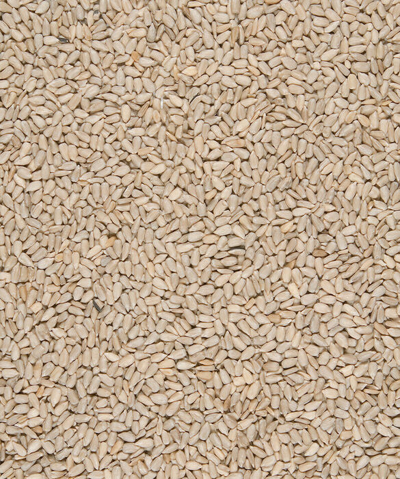 Sunflower hearts 750 g