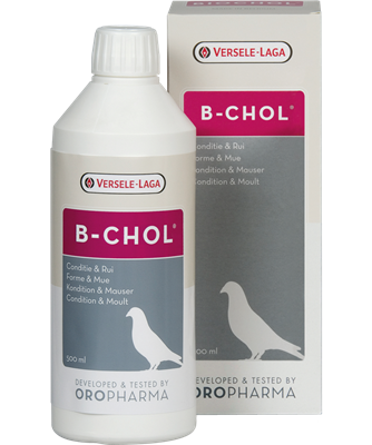 Oropharma B-Chol 500 Ml