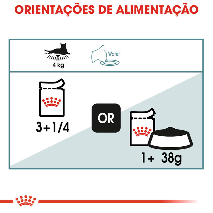 Royal Canin Hairball Care (Molho) 12 X 85 Gr