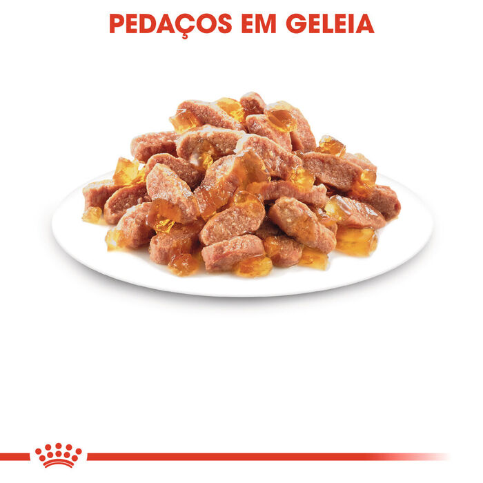 Royal Canin Kitten Sterilised (Geleia) 12 X 85 Gr