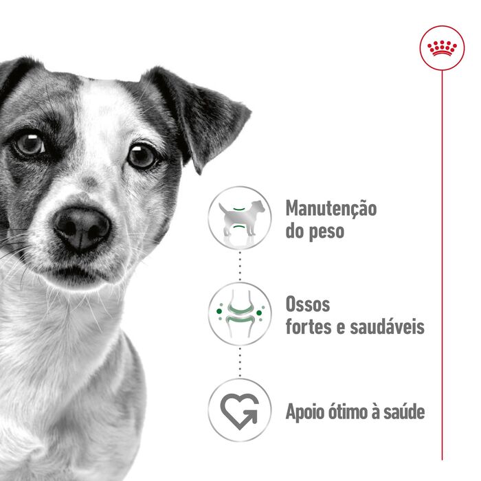 Royal Canin Mini Adult 12 X 85 Gr