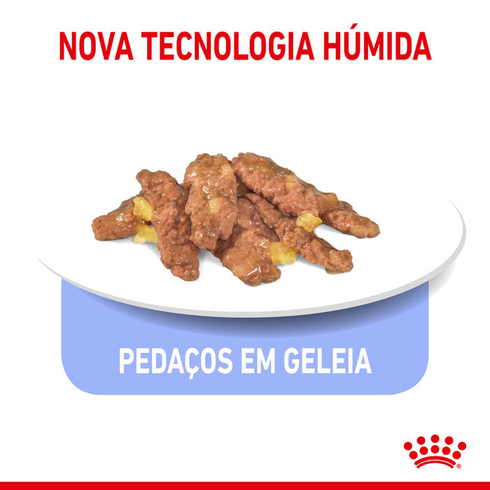 Royal Canin Indoor (Geleia) 12 X 85 Gr