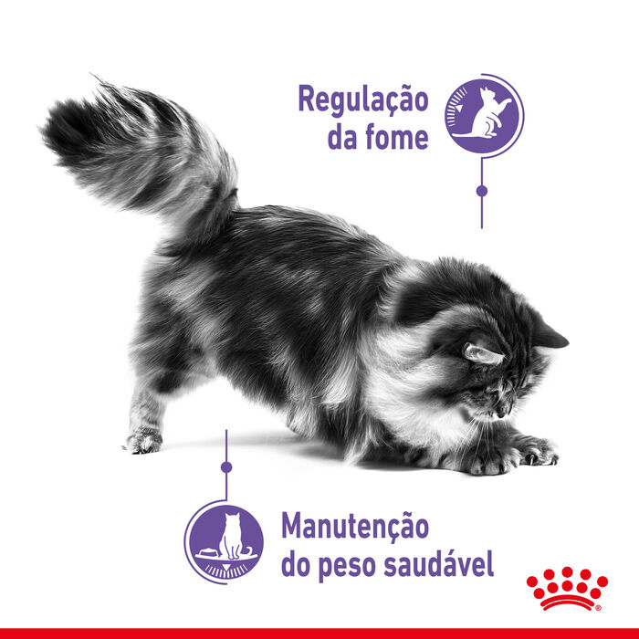 Royal Canin Appetite Control (Molho) 12 X 85 Gr