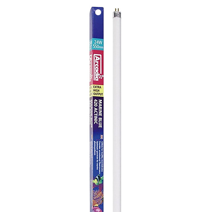Lampada Fluor. T5 - Blue Actinic 80W-145Cm