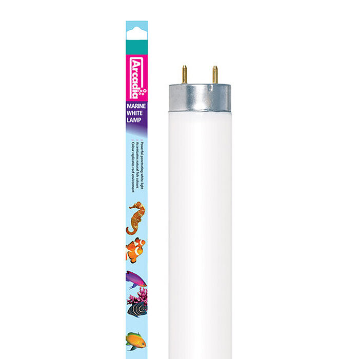 Lampada Fluor. Marine White 58W-150Cm T8