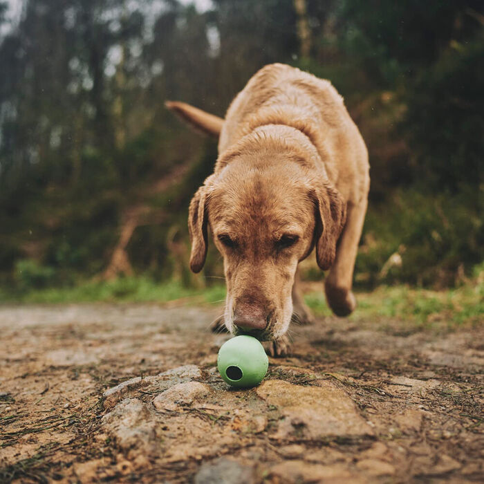 Beco Ball M (6,5 Cm) Verde
