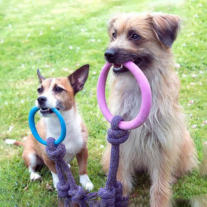Beco Hoop On A Rope S (12 Cm) Rosa