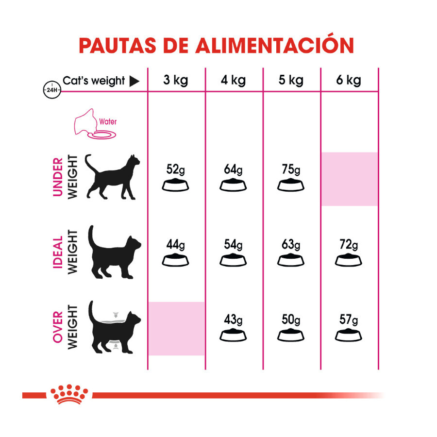 Royal Canin Fit 32 2 Kg 6