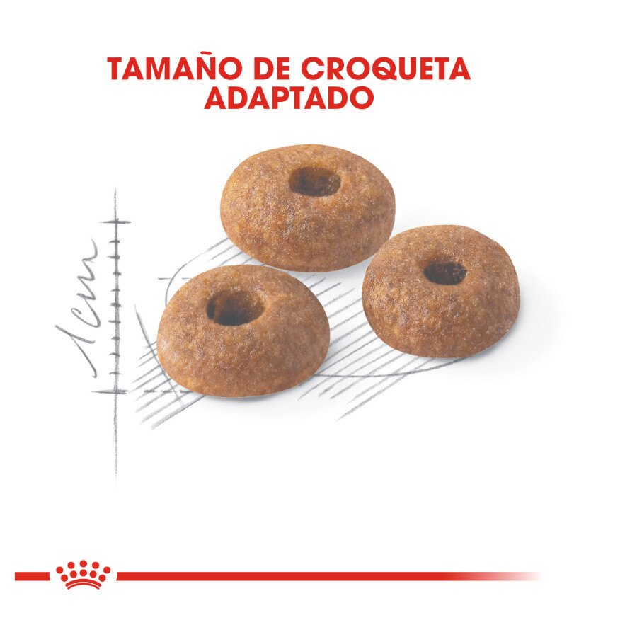 Royal Canin Fit 32 2 Kg 2