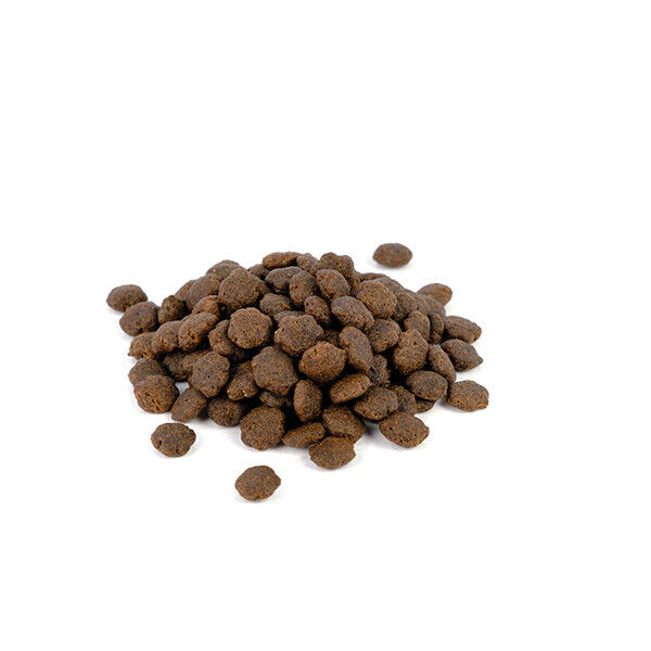 Natura Diet Grain Free Salmon & Coconut 12 Kg