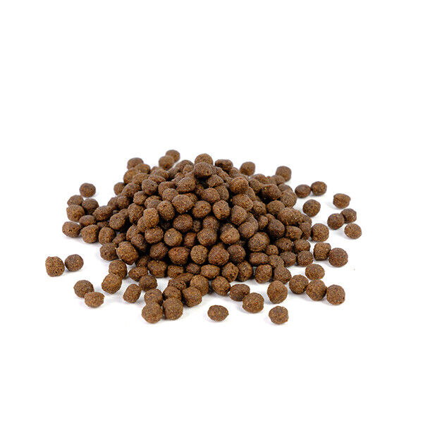 Natura Diet Lamb & Rice Mini 500 G