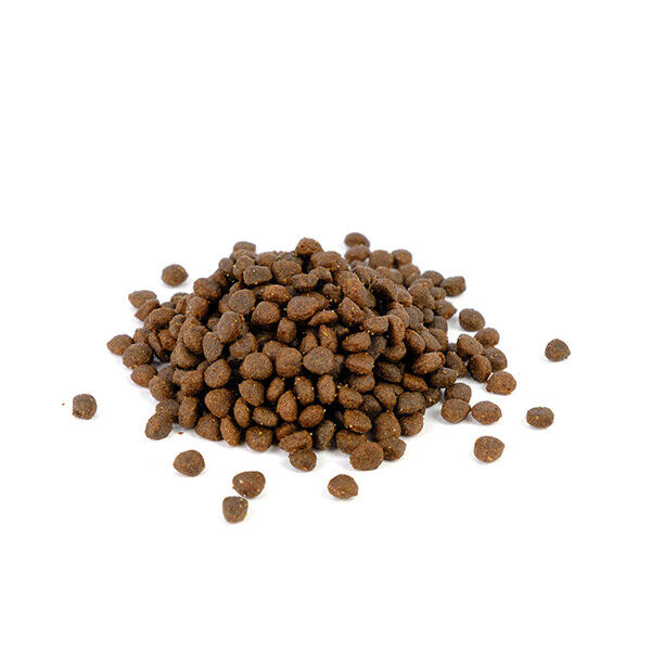 Natura Diet Puppy Starter 3 Kg
