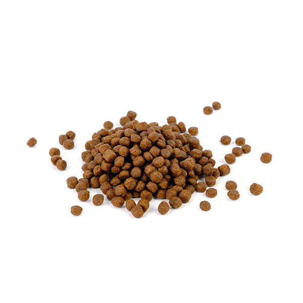 Natura Diet Puppy Junior 500 G