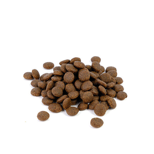 Natura Diet Lamb & Rice 3 Kg