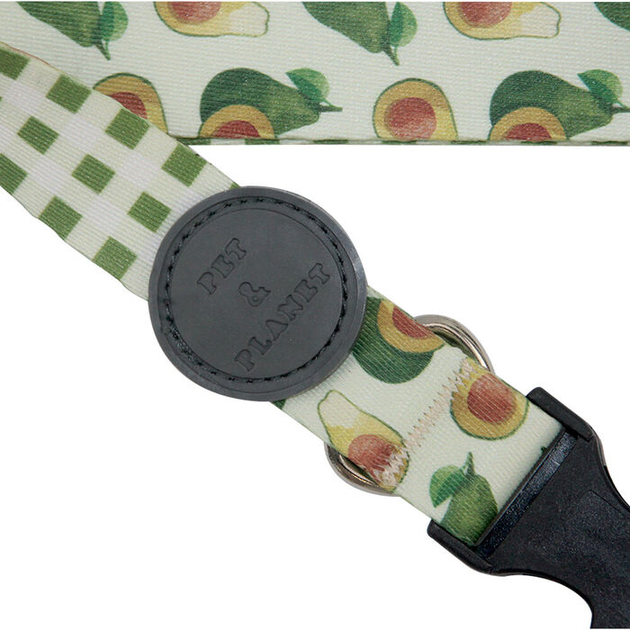 Coleira Abacate (L-Xl) 50-65 Cm / 25 Mm