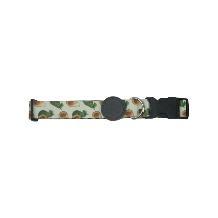 Coleira Abacate (L-Xl) 50-65 Cm / 25 Mm