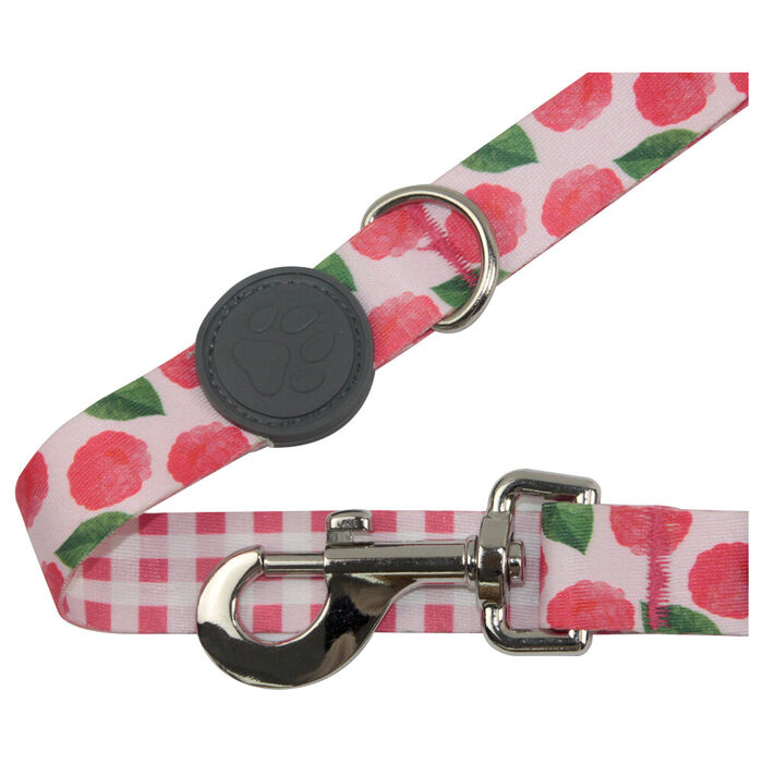 Trela Framboesa (L-Xl) 140 Cm / 25 Mm