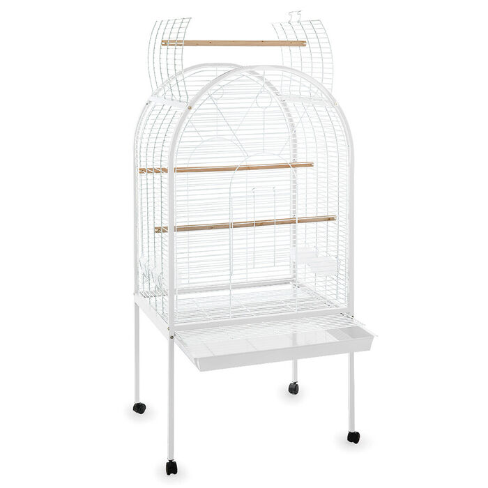 Gaiola Leeds P/ Papagaio 78X61X156 Cm