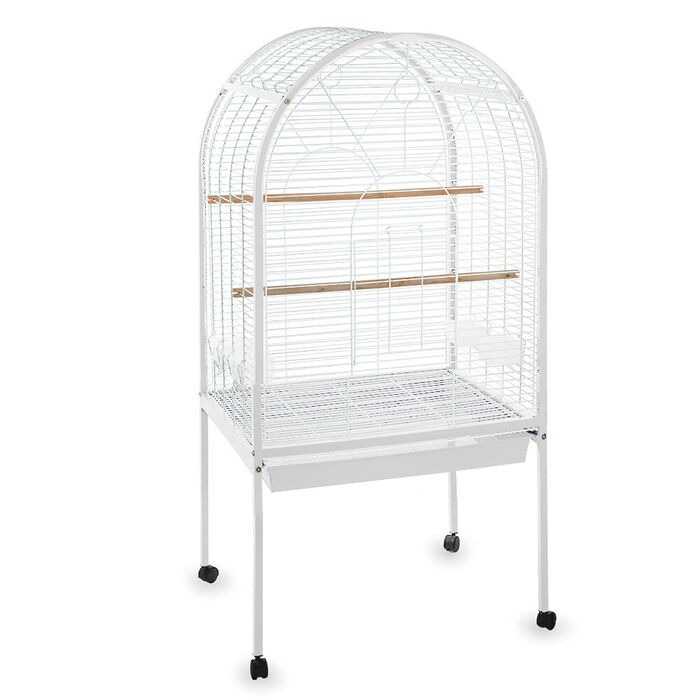 Gaiola Leeds P/ Papagaio 78X61X156 Cm