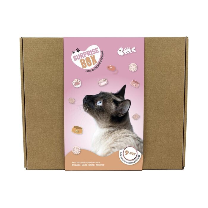 Surprise Box Gatos