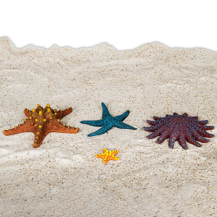 Decoraçao Aquario - Estrela Do Mar (Cores Sort.) Ø16,5 Cm