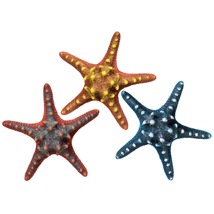 Decoraçao Aquario - Estrela Do Mar (Cores Sort.) Ø16,5 Cm