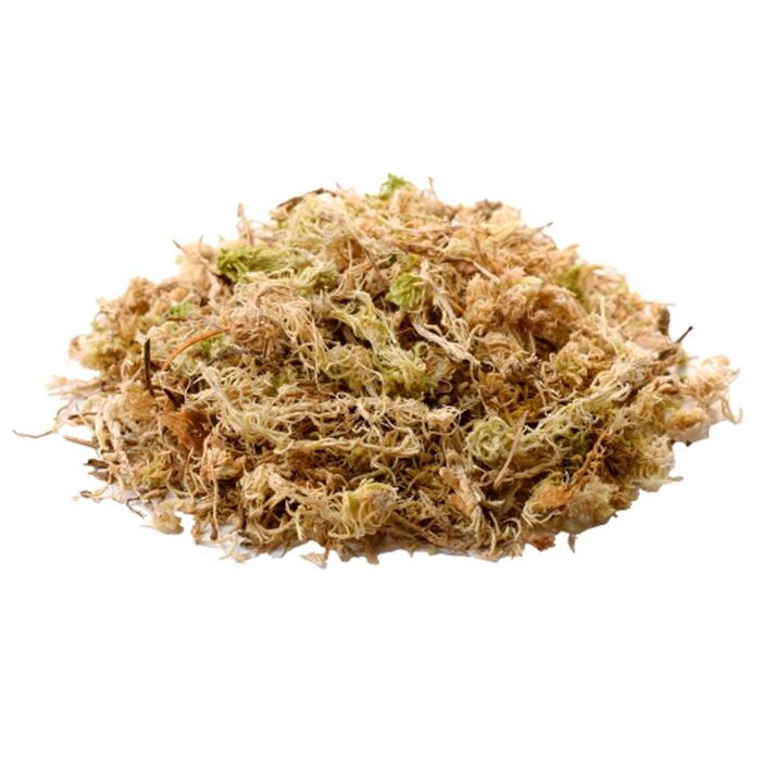 Hobby - Musgo Sphagnum 1 Kg