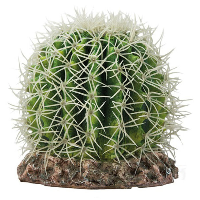Decoraçao P/ Terrario Cactus Sonora - M