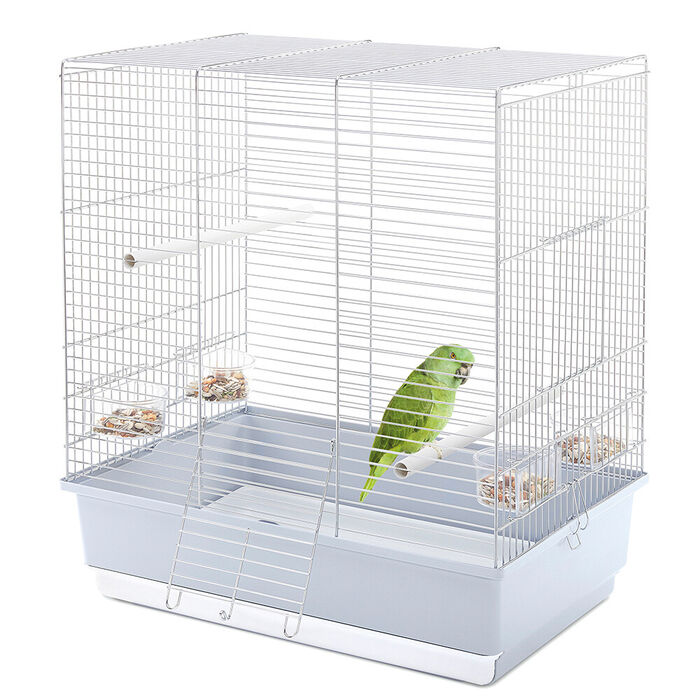 Gaiola Dora Plus