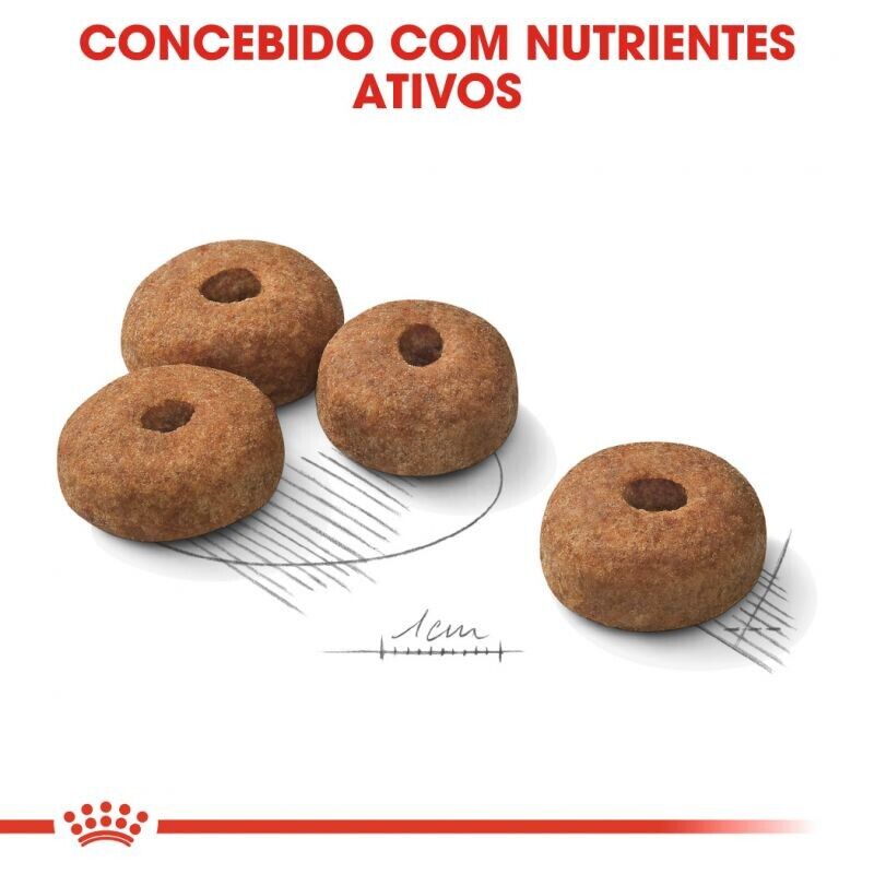 Royal Canin Maxi Sterilised 3 Kg