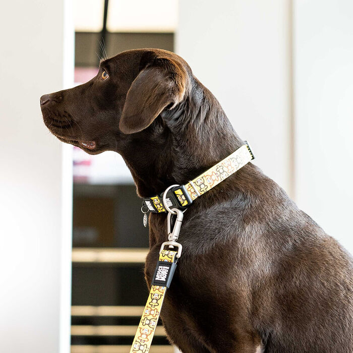 Max & Molly - Coleira C/ Id Tag Monkey Maniac (Tam. L)