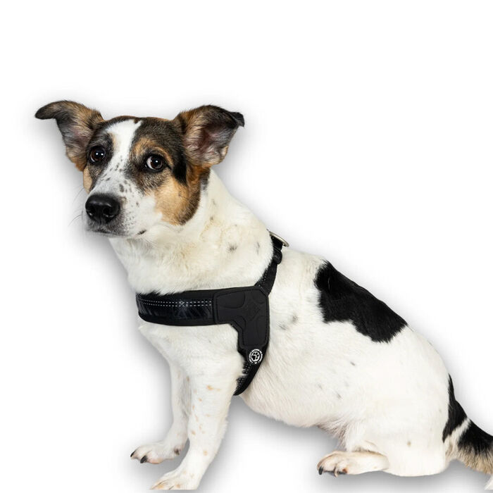 Max & Molly - Peitoral Q-Fit Matrix 2.0 Black (Tam. Xs)