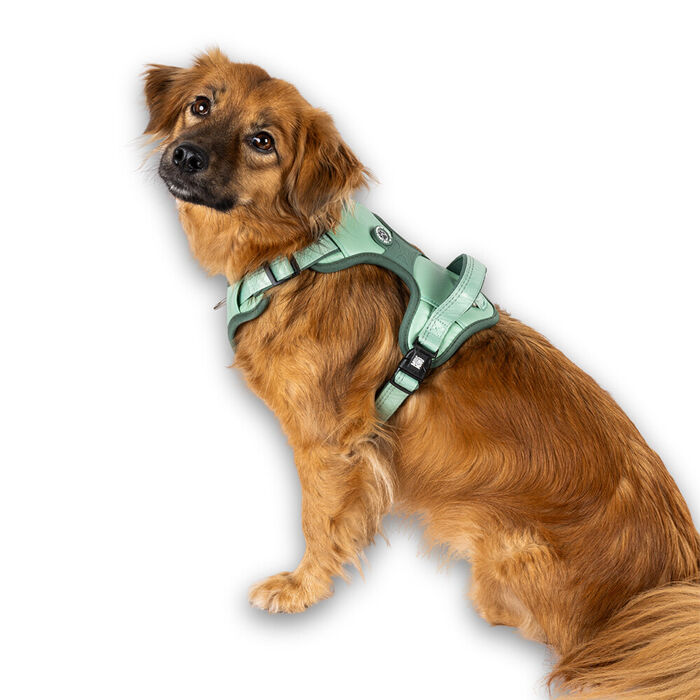 Max & Molly - Peitoral Sport Matrix 2.0 Jade (Tam. Xl)
