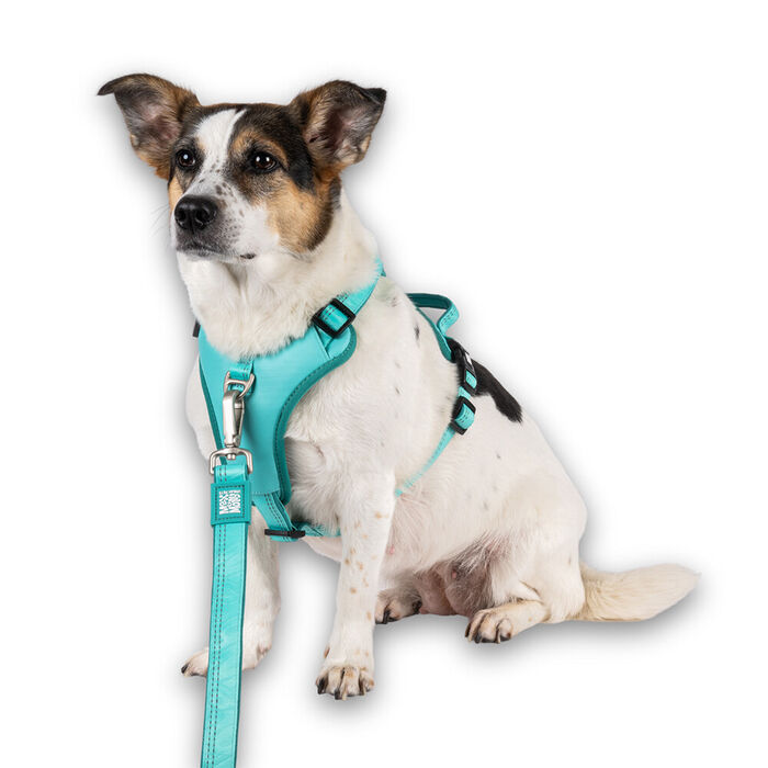 Max & Molly - Peitoral Sport Matrix 2.0 Turquoise (Tam. S)