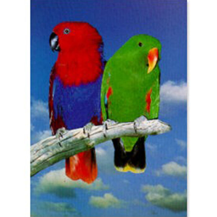 Poster Ecletus Laminado A4