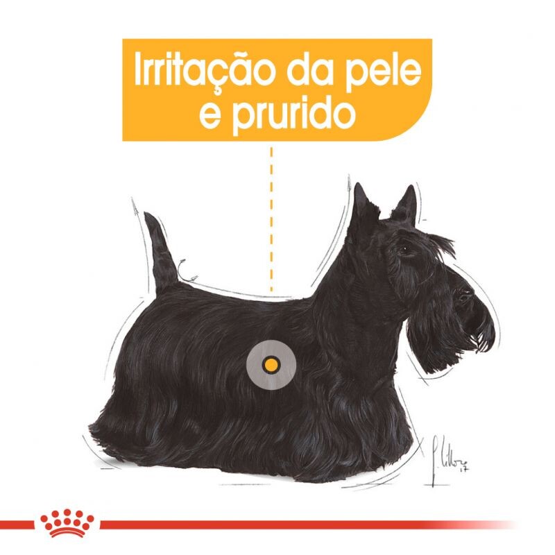Royal Canin Dermacomfort 12 X 85 Gr 2