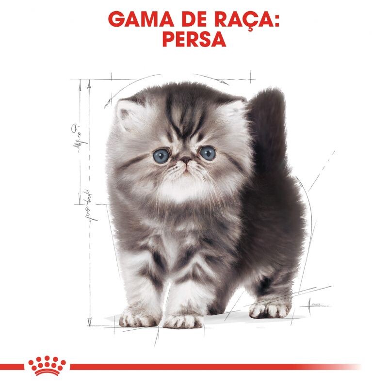 Royal Canin Kitten Persian 2 Kg 5