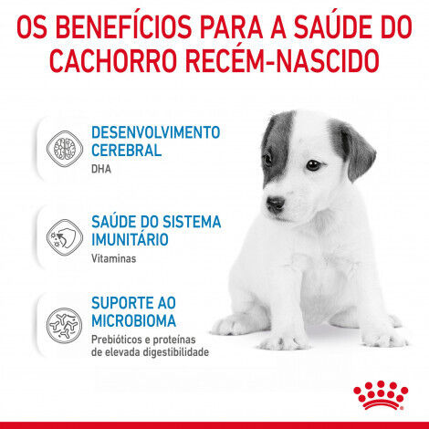 Royal Canin Babydog Milk - 1St Age Milk 0.4 Kg