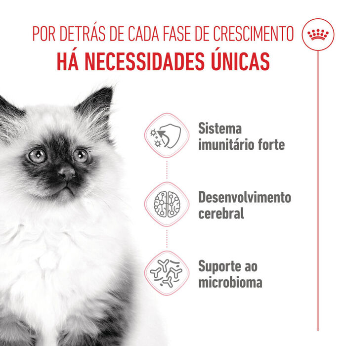 Royal Canin Kitten 10 Kg