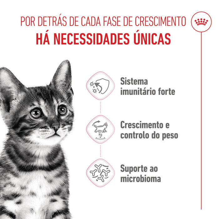 Royal Canin Kitten Sterilised 3.5 Kg
