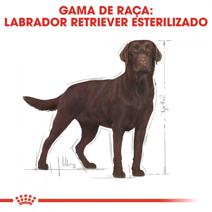 Royal Canin Labrador Retriever Adult Sterilised 12 Kg