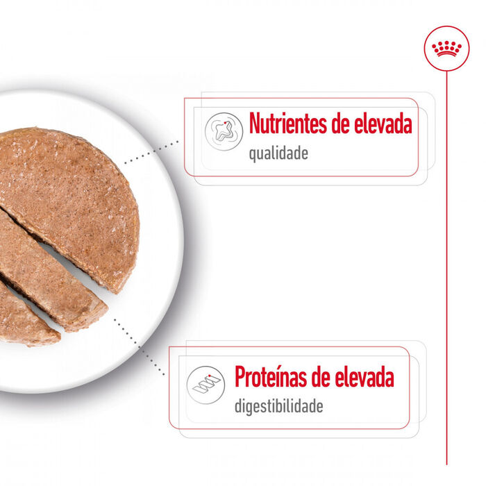 Royal Canin Maxi Adult (Patê) 12 X 410 Gr