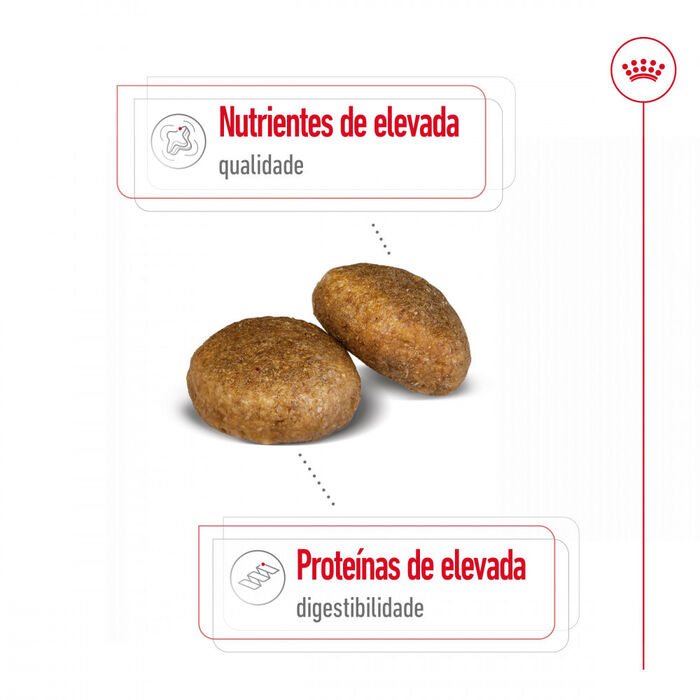 Royal Canin Maxi Adult 15 Kg