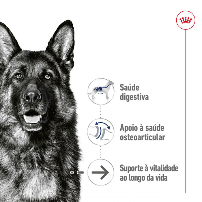 Royal Canin Maxi Ageing (Patê) 12 X 410 Gr